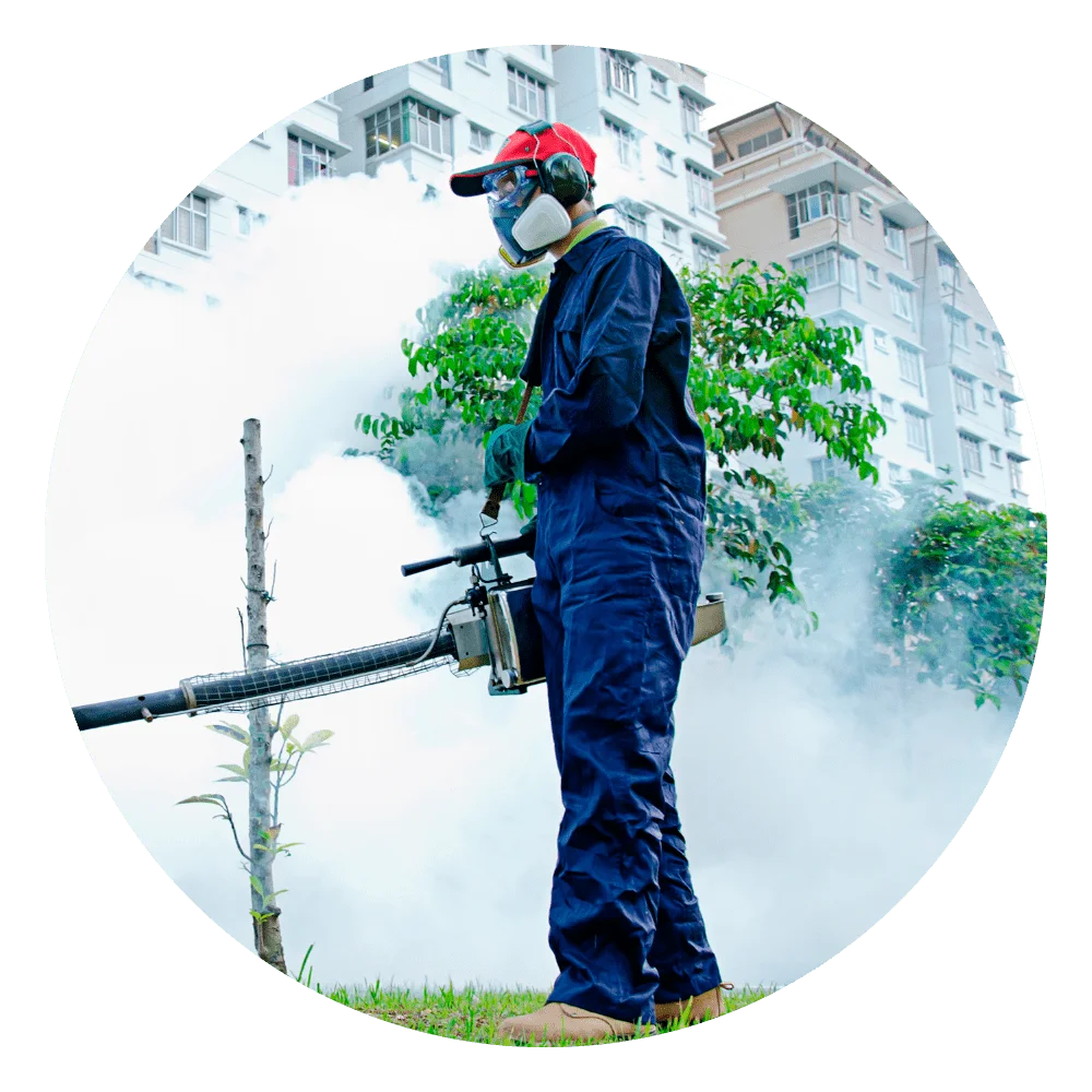 Servicios fumigacion - Servicios