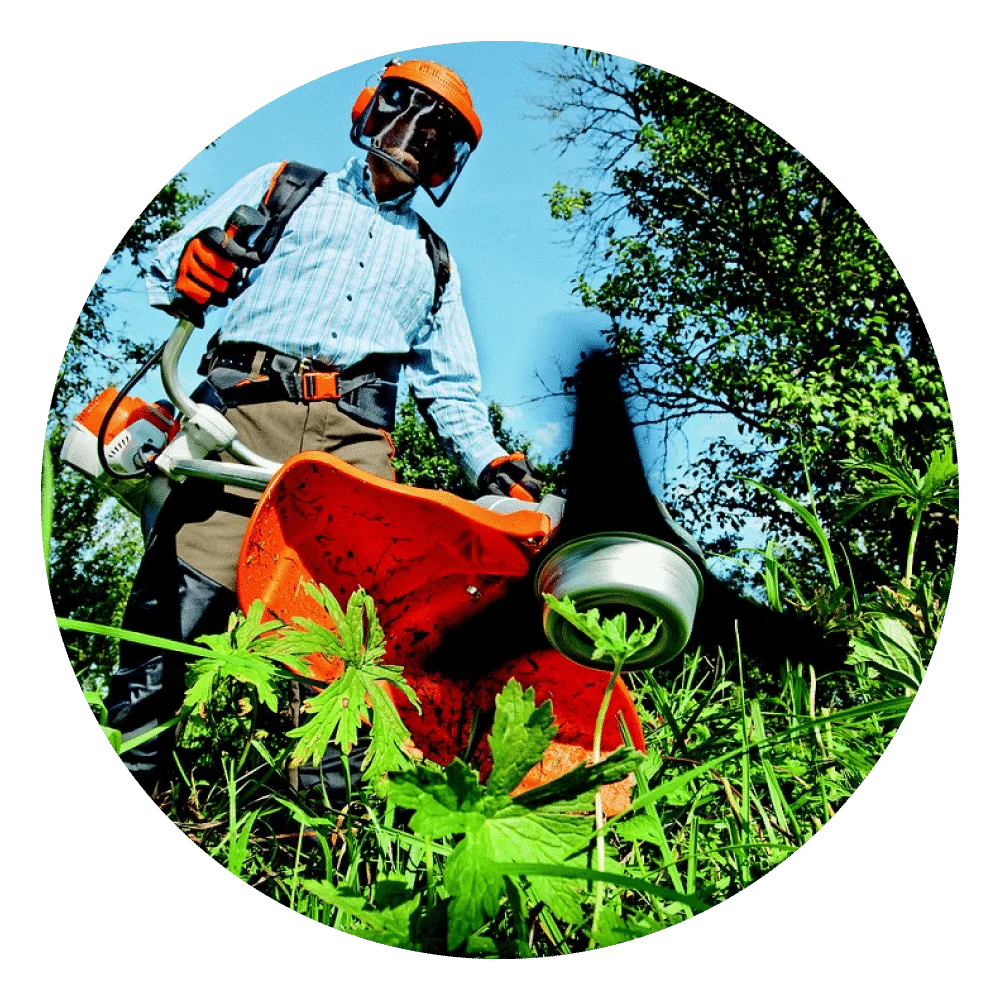 Servicios mantenimiento de jardines - Servicios
